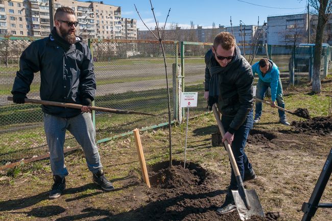 Украинские звезды посадили в Киеве аллею каштанов